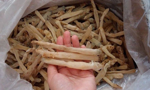 Sá sùng được rao bán có giá lên tới 4,5 - 5 triệu đồng/kg.