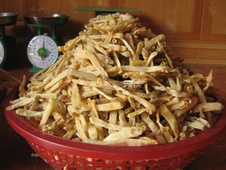 Món sá sùng được dân giàu ví như món “gia vị vàng ròng”