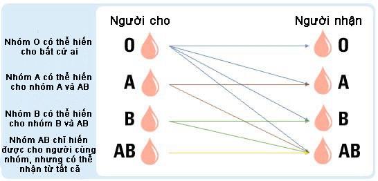 Tai sao AB la nhom mau hiem nhat the gioi? hinh anh 2