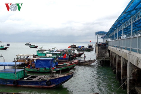 bo tong tham muu yeu cau cac don vi san sang ung pho voi bao so 2 hinh 1