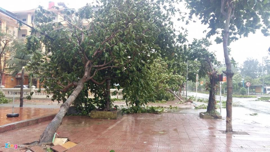 Bao vao Nghe An - Ha Tinh, cay do, nhieu nha toc mai hinh anh 1