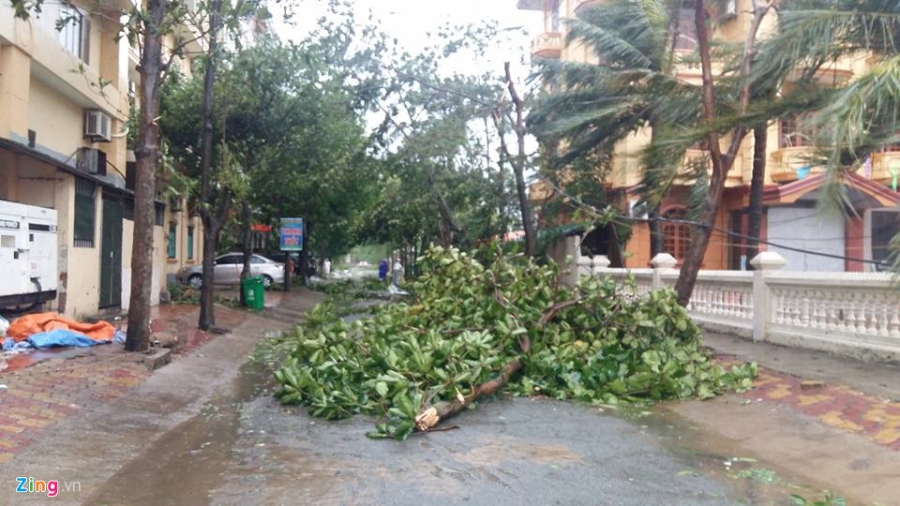 Bao vao Nghe An - Ha Tinh, cay do, nhieu nha toc mai hinh anh 2
