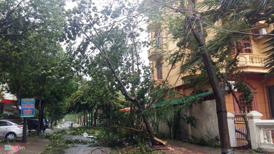Bao vao Nghe An - Ha Tinh, cay do, nhieu nha toc mai hinh anh 3