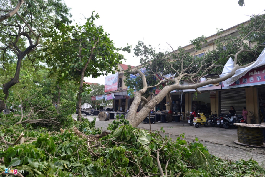 Cua Lo nhu 'bai chien truong' sau bao so 2 hinh anh 12