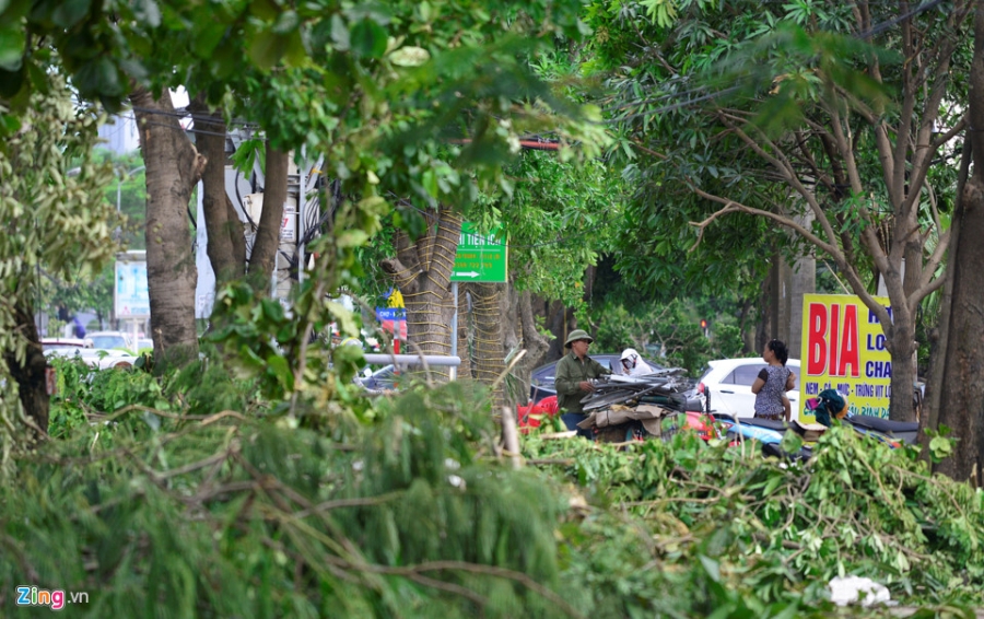 Cua Lo nhu 'bai chien truong' sau bao so 2 hinh anh 13