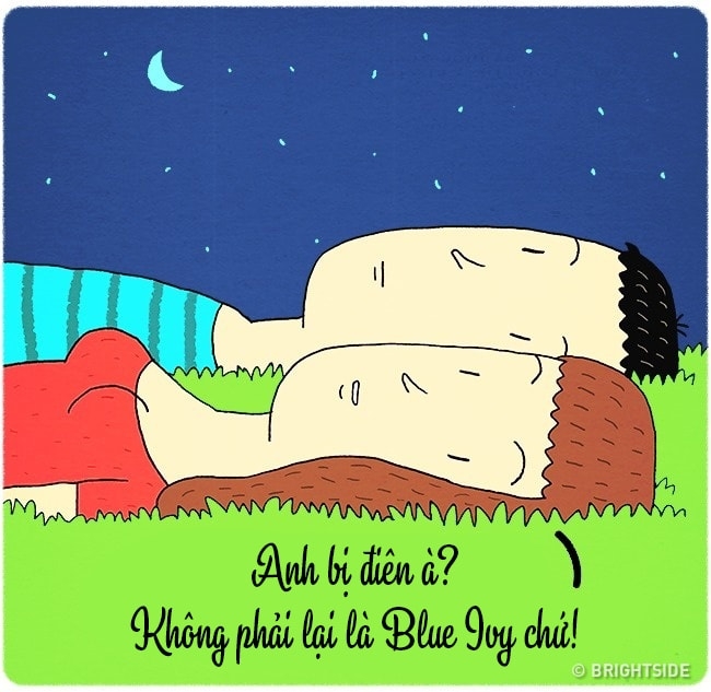 day la nhung dieu ai cung da tung trai qua trong tinh yeu hinh anh 2