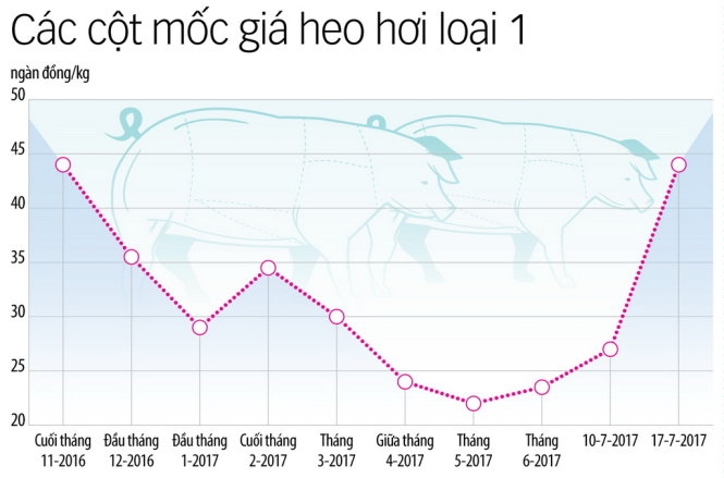 Giá heo tăng đột biến, đến lượt người bán thờ ơ với thương lái 