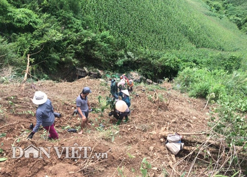 son la: o to lao vuc sau 50m, 4 nguòi dạp của nhảy thoát than hinh anh 4