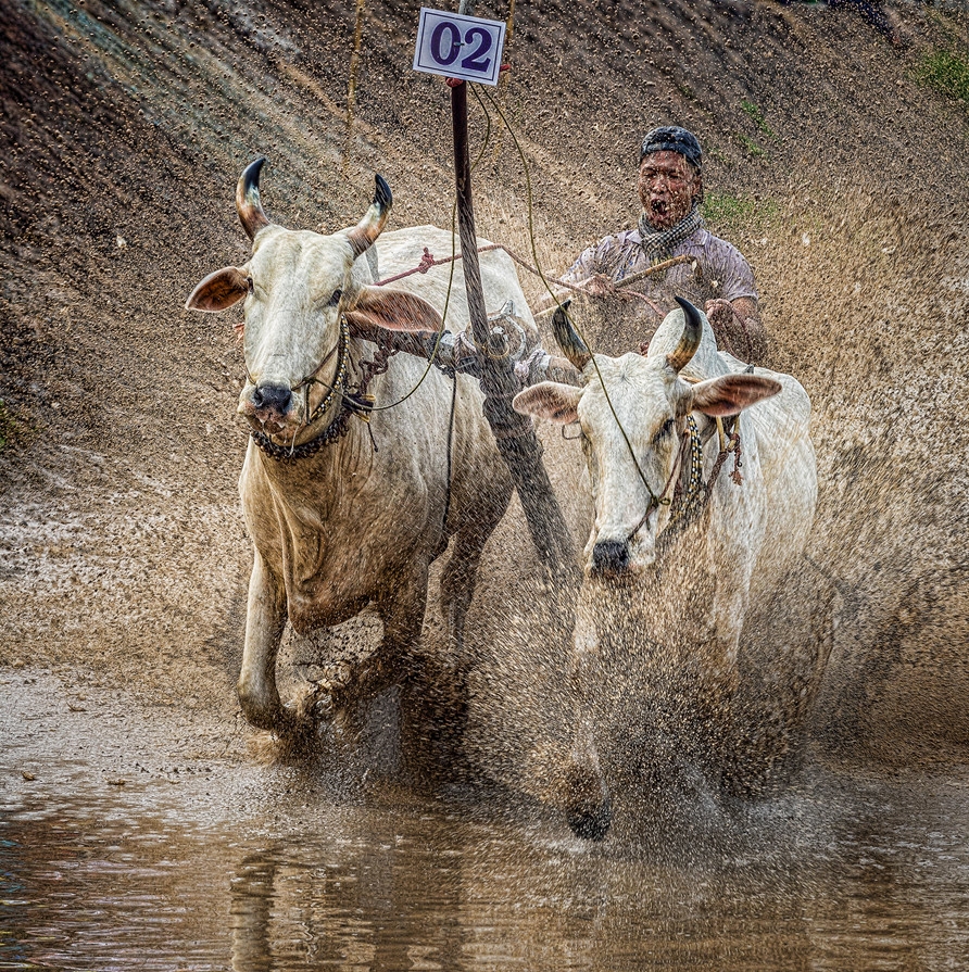20 khoanh khac tuyet dep tai Festival Nhiep anh tre 2017 hinh anh 14