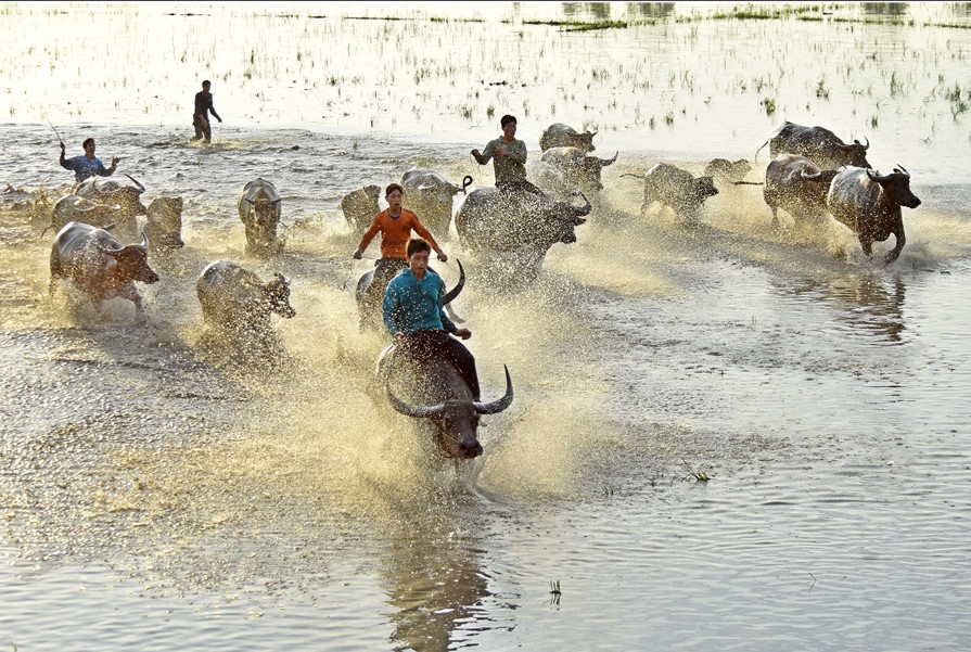 20 khoanh khac tuyet dep tai Festival Nhiep anh tre 2017 hinh anh 19
