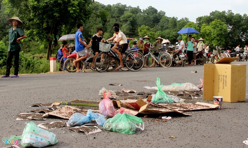Dan mang hang kg ruoi ra duong chan xe vao bai rac hinh anh 2
