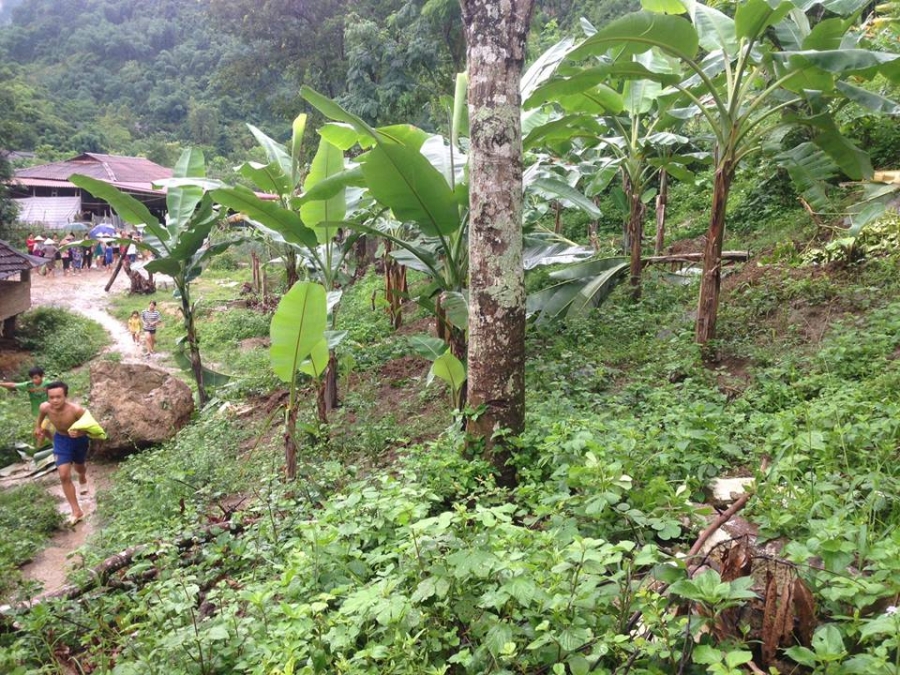 son la: mua lon, bat ngo sat lo da de bep nha dan hinh anh 3