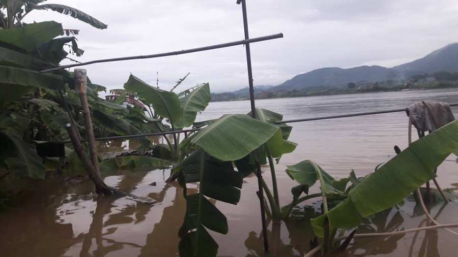 ca chet trang long do thuy dien hoa binh xa lu: dan khoc nhu mua hinh anh 2