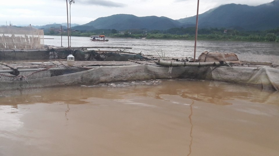 ca chet trang long do thuy dien hoa binh xa lu: dan khoc nhu mua hinh anh 3