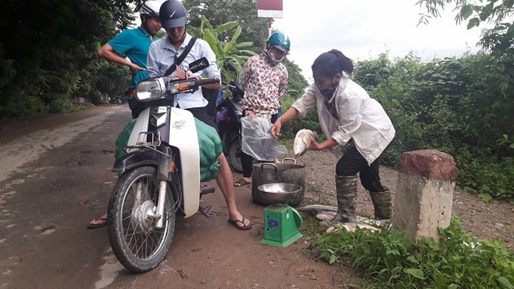 ca chet trang long do thuy dien hoa binh xa lu: dan khoc nhu mua hinh anh 4