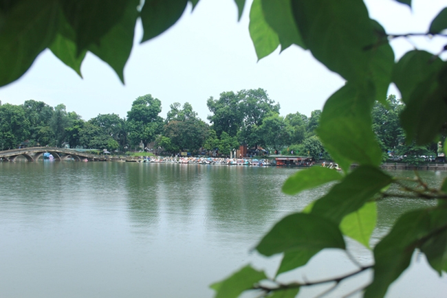 ha noi: man nhan cay sung qua moc chi chit canh ho thu le hinh anh 9