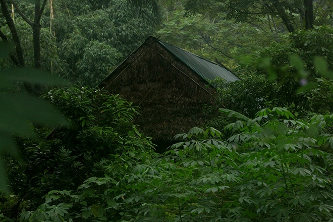 giap mat voi gia dinh “nguoi rung” trong khu vuon ki bi hinh anh 9