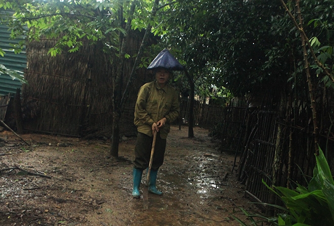 giap mat voi gia dinh “nguoi rung” trong khu vuon ki bi hinh anh 11