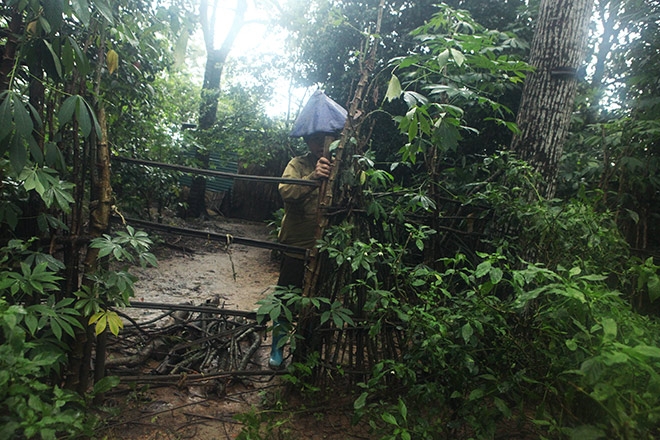giap mat voi gia dinh “nguoi rung” trong khu vuon ki bi hinh anh 12