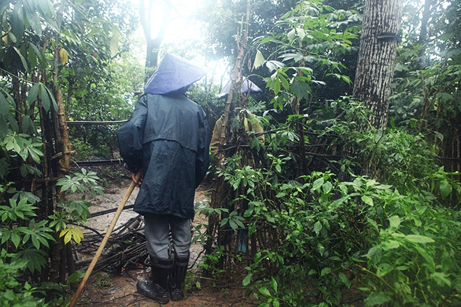 giap mat voi gia dinh “nguoi rung” trong khu vuon ki bi hinh anh 14