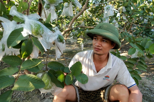 le roi lo hinh anh ngo ngang sau ca dai phau nhan sac hinh anh 5