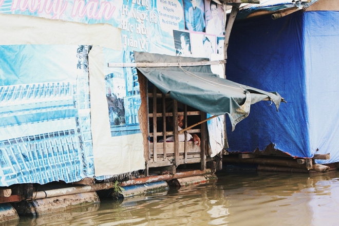 Bãi giữa sông Hồng biến thành ốc đảo sau những ngày mưa lớn, cuộc sống của người dân bị đảo lộn - Ảnh 7.