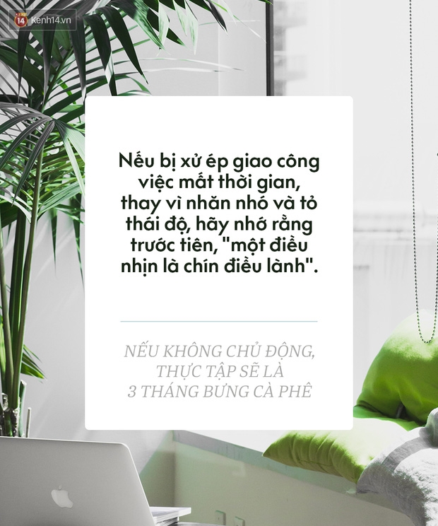 Nếu không chủ động, thực tập sẽ là 3 tháng bưng cà phê! - Ảnh 3.