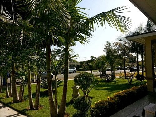Quang Lê, Thanh Bi, Làng Sao