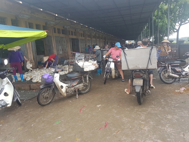 Cảnh buôn bán tấp nập ở khu D - Chợ gia cầm Hà Vĩ. Ảnh: PV