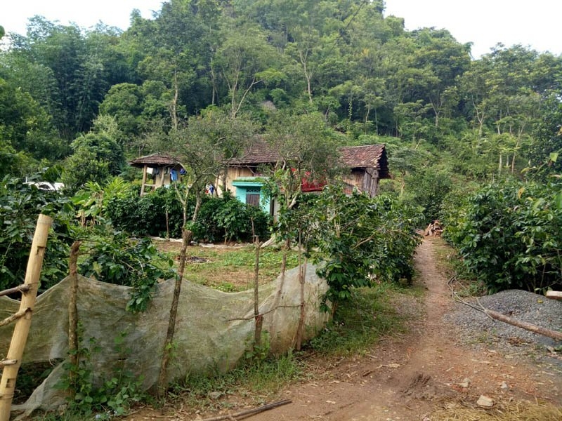 bệnh lạ, Sơn La bệnh lạ, Sơn La