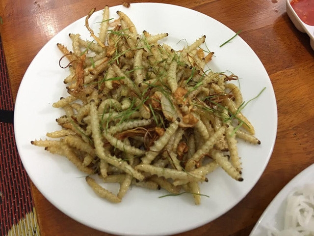 Sâu tre có giá bán nửa triệu đồng/kg nhưng không phải lúc nào cũng có hàng