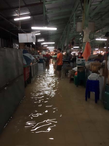 Lũ lớn ở Thái Lan, người Việt cầu cứu - ảnh 1