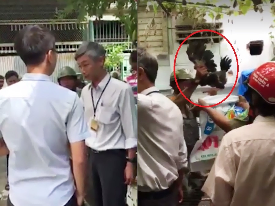 Chủ tịch phường: 'Chúng tôi hơi sai khi bẻ khóa cổng vào bắt gà Đông Tảo!' - ảnh 3
