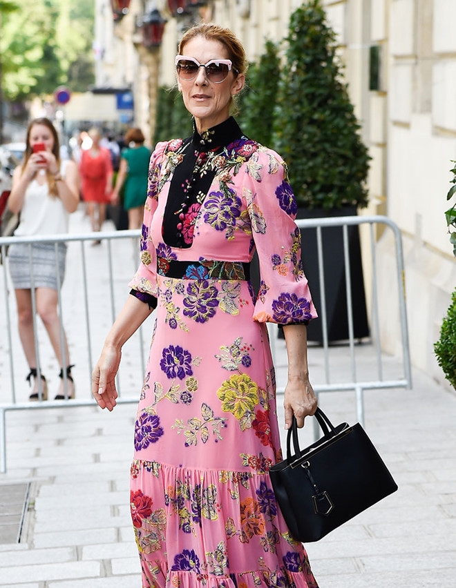 BST tui xach sieu dat do cua Celine Dion hinh anh 2