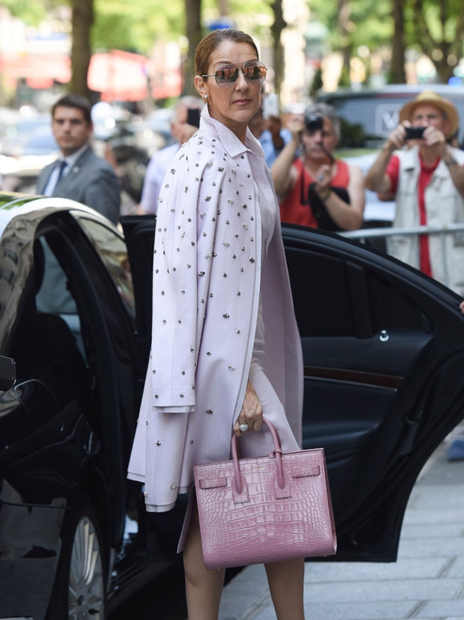 BST tui xach sieu dat do cua Celine Dion hinh anh 5
