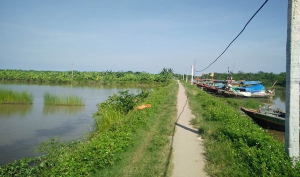 nổ súng, đạn hoa cải, đầm tôm, huyện Tiên Lãng