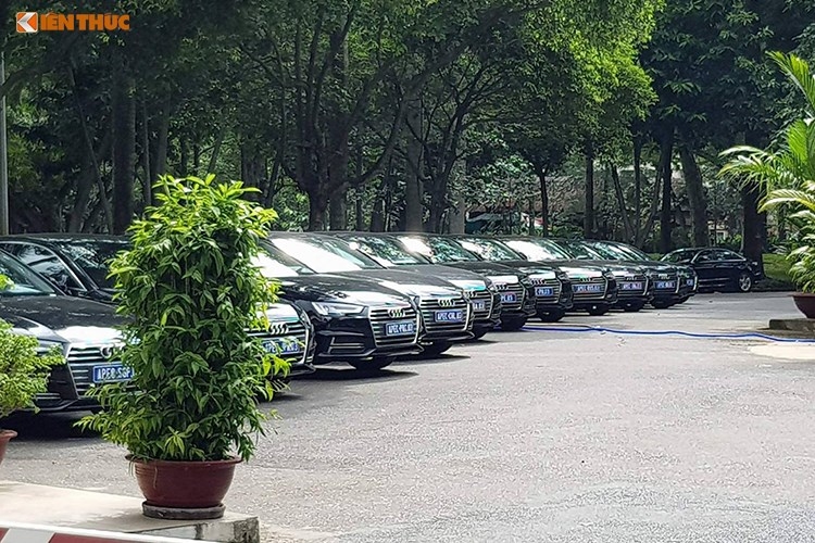 Can canh 150 xe sang Audi Apec 2017 tai Sai Gon-Hinh-10