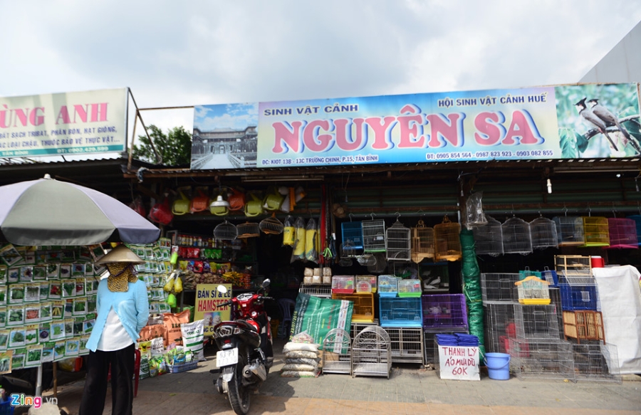 Can canh hang chuc kiot, cay xang giap san bay Tan Son Nhat hinh anh 7