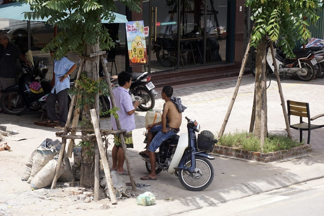  Tận dụng từng bóng cây trên đường để hóng mát. 