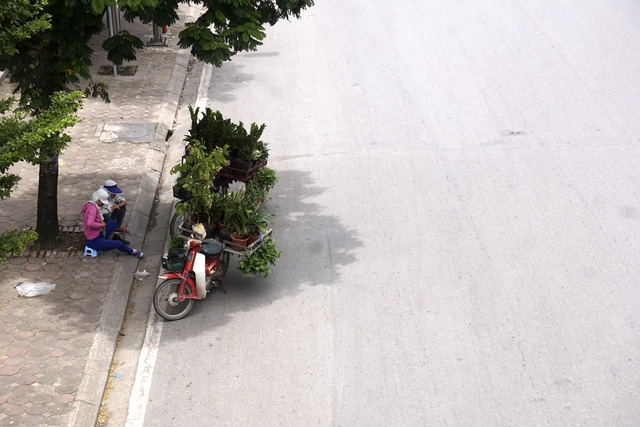  Bóng mát cây xanh nhỏ nhoi trên phố Tây Sơn. 