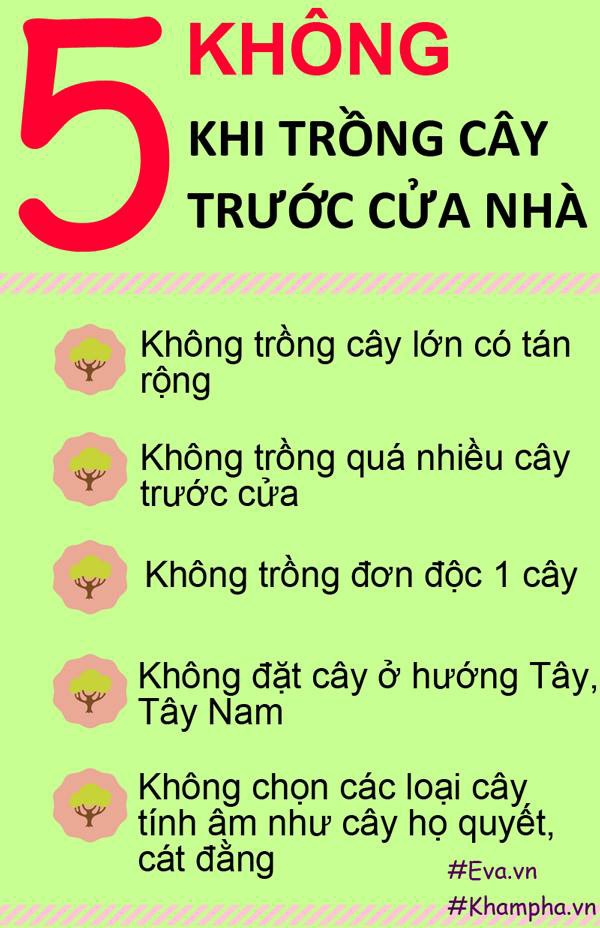nhung loai cay khong nen trong truoc cua nha de tranh gap hoa - 3