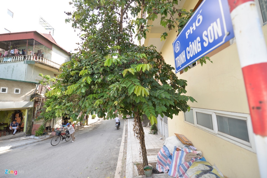 Cac gian hang o pho di bo Trinh Cong Son phai thao do vi dan phan doi hinh anh 1