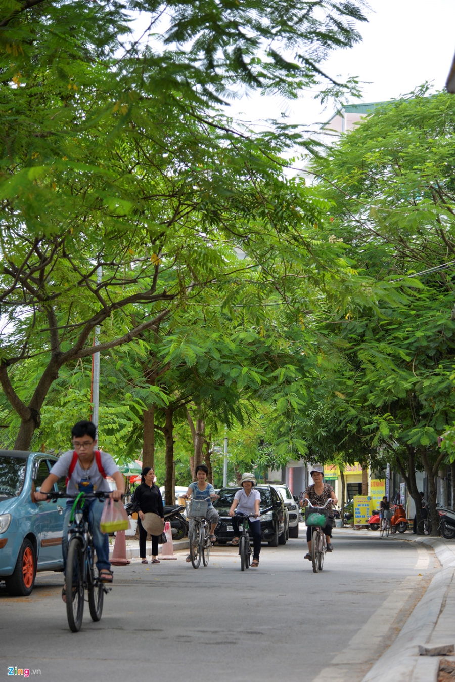 Cac gian hang o pho di bo Trinh Cong Son phai thao do vi dan phan doi hinh anh 15