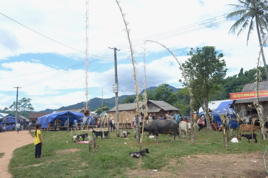 Nguoi Pa Co dam trau trong le hoi 10 nam moi co mot lan hinh anh 1