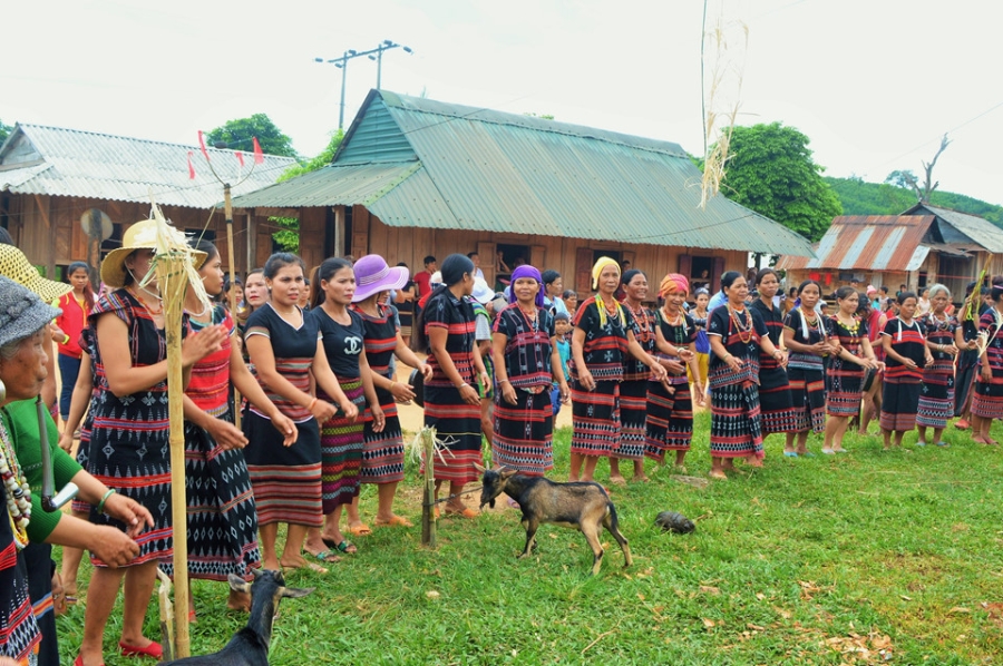 Nguoi Pa Co dam trau trong le hoi 10 nam moi co mot lan hinh anh 5