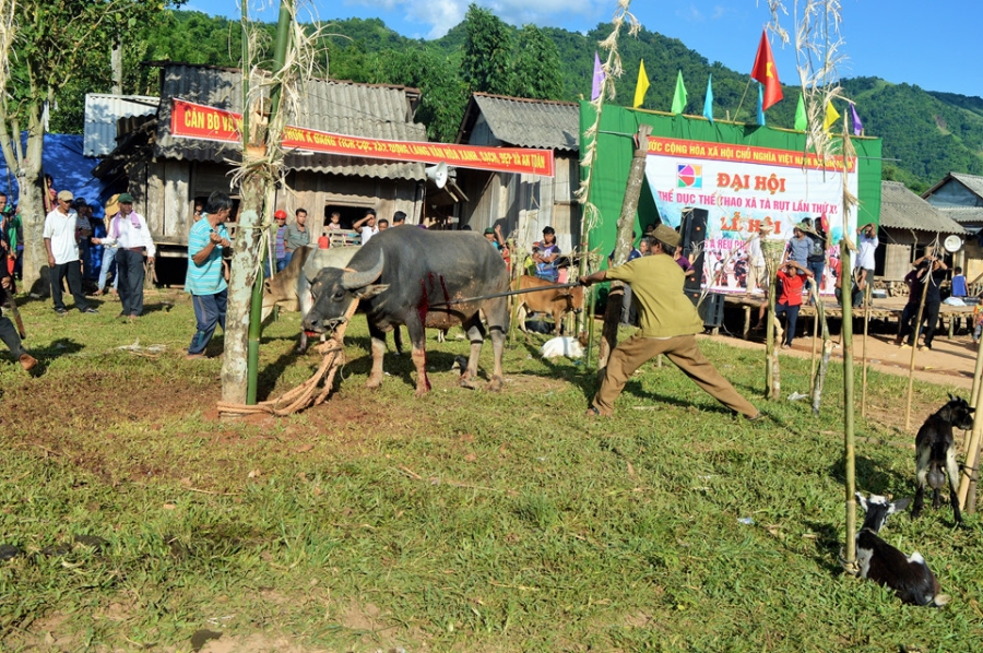 Nguoi Pa Co dam trau trong le hoi 10 nam moi co mot lan hinh anh 8
