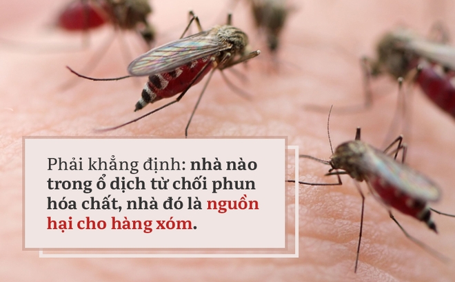 Dù ở biệt thự, ngủ phòng máy lạnh, 3 điều quan trọng chống sốt xuất huyết không thể bỏ qua