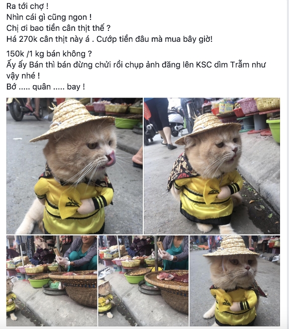 meo-di-vi-hanh-on-ao-ca-khu-cho