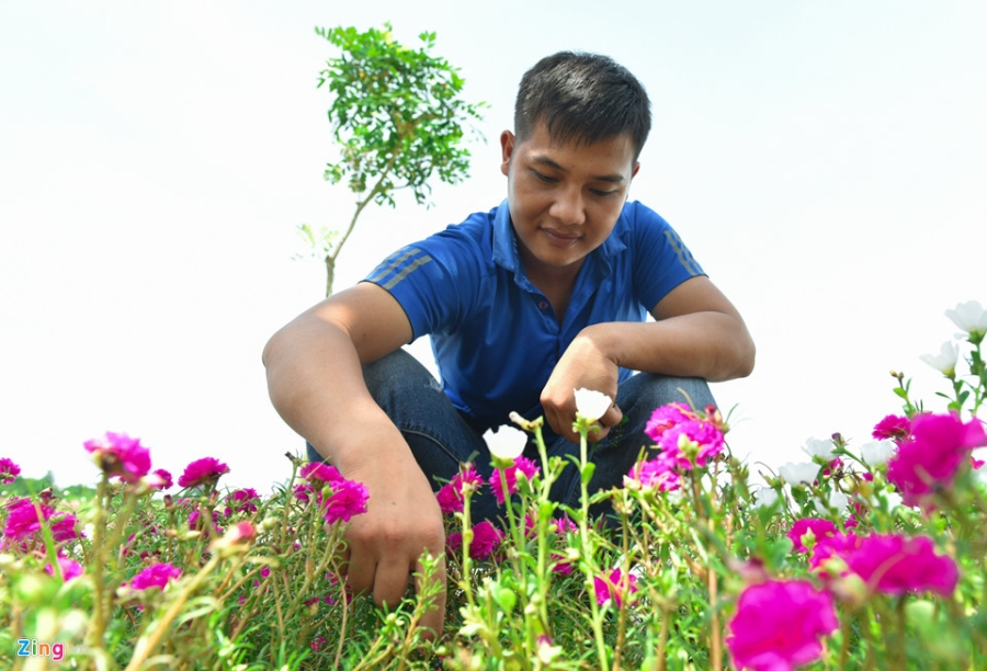 Duong hoa muoi gio doc dao nhat Ha Noi hinh anh 6