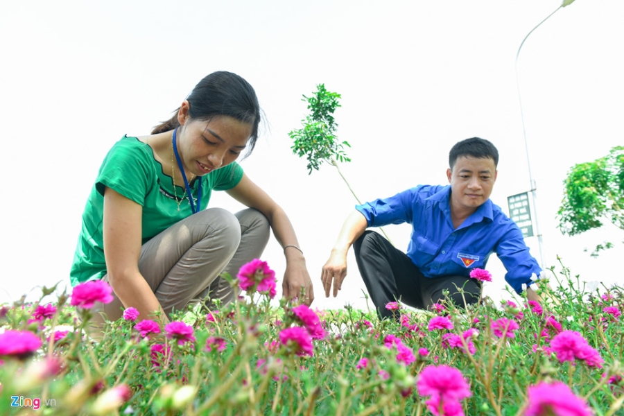 Duong hoa muoi gio doc dao nhat Ha Noi hinh anh 7